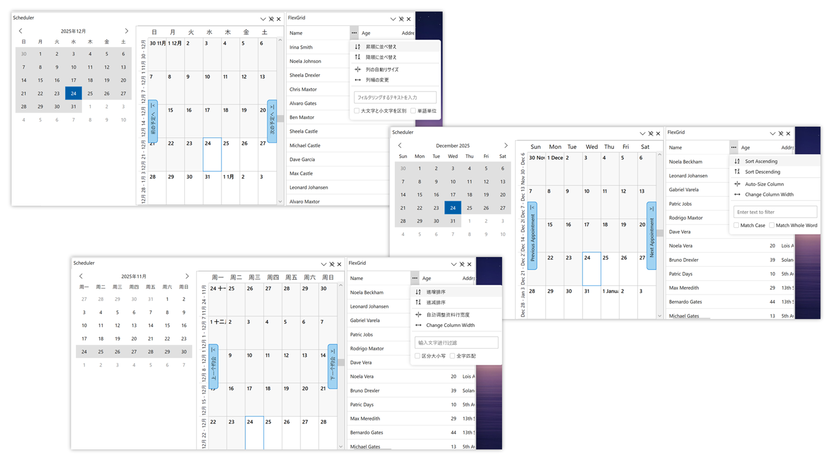 ローカリゼーション機能の強化（Windows Forms、WPF）