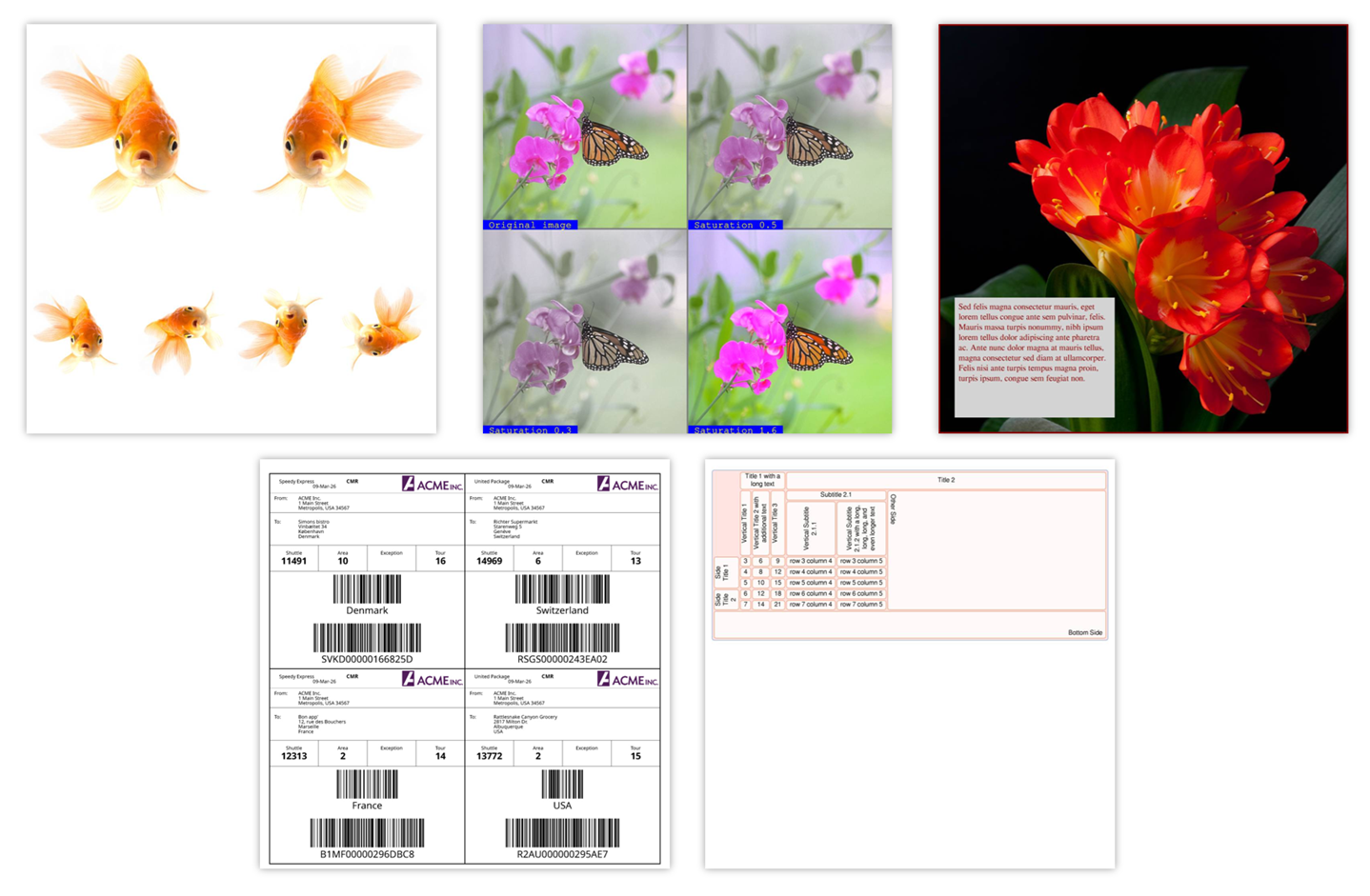 DioDocs for Imaging（画像処理）