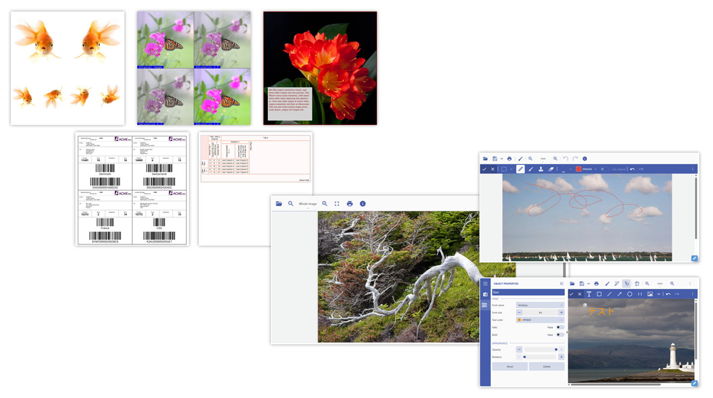 DioDocs V9Jの新機能