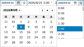 日付時刻入力